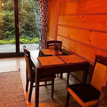 Apartament Butorowy Cichy Potok
